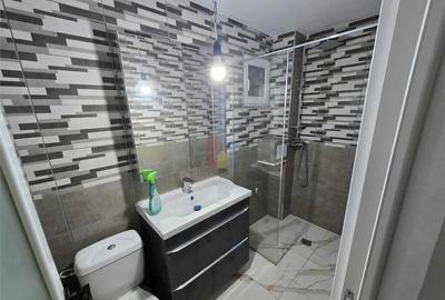 Ap 1 cam 61mp Vidin semi mobilat semi utilat - 1