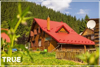Cabană de vânzare, 95m? utili, teren 1276m?, Sălard! - 11