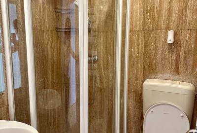Apartament cu 5 camere, mobilat în Unirii - 23