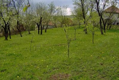 Vand teren Breaza 1.358 mp - 43.000 euro negociabil - 2