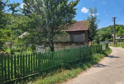Casa 5 camere+ anexe cu teren 686mp - 23