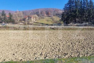 Spațiu comercial, în Băltița - 6