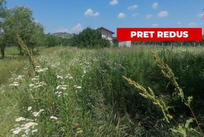 Teren intravilan, Tintea, 500 mp, neimprejmuit - 1