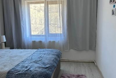 Casă individuală cu 5 camere cu Teren 6400 Mp în Aroneanu - 6