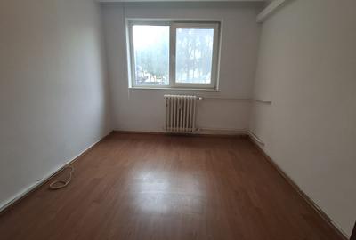 Ciresica - ap 3 cam , parter (gaze la usa ) - 1