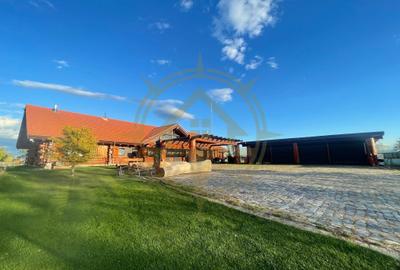 Casă cu 7 camere cu Piscina în Grădiștea - 2