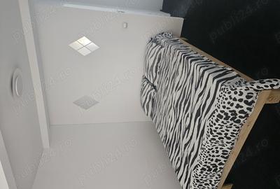 Vand casa in Costine?ti cu 14 camere ?i 4 casu?e - 7