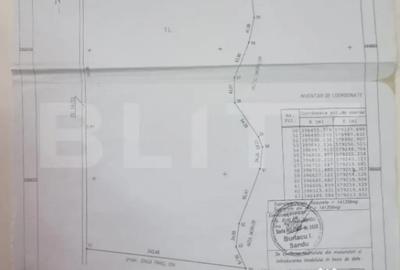 Teren de 141356 mp, în Lipănești - 4