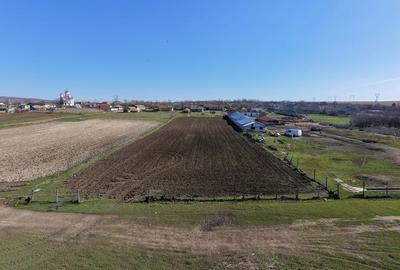 Spațiu comercial, în Băltăgești - 3