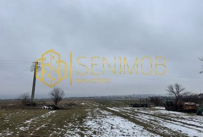 Teren intravilan de vanzare în Tohanul Nou - 3