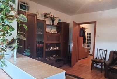 Apartament 1 camera Blascovici - 2