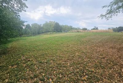 Teren intravilan, cu priveliște spre pădure – Vălenii de Munte - 4