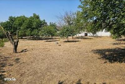 Spațiu comercial, în Lumina - 2