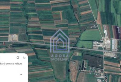 Teren 10.000 mp langa Weber si Vorona, DN E58 spre Gura Humo - 3