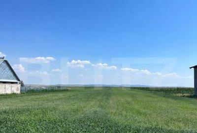 Oportunitate de investitie!!! Teren intravilan, 9782 mp, zon - 2