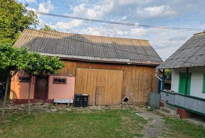 Teren de 7800 mp, în Pătrăuți - 3
