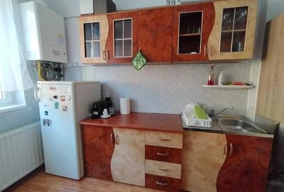 Inchiriat apartament 2 camere zona Balcescu - 2