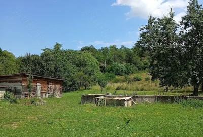 Casă cu 2 camere în Culcea - 4