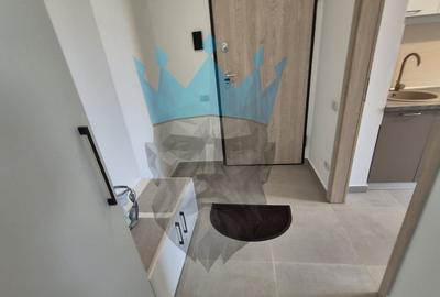 Apartament cu 2 camere semidecomandat, mobilat în Timișoara - 9