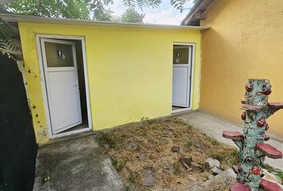 Casă + Afacere + Relaxare = Investiția Perfectă, in Cioranii de Jos - 33