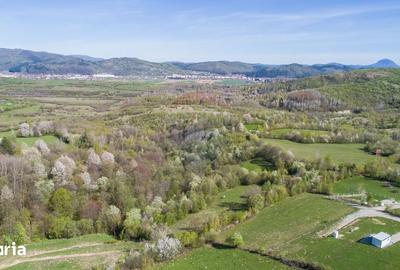 Teren de 6800 mp, în Tohănița - 5