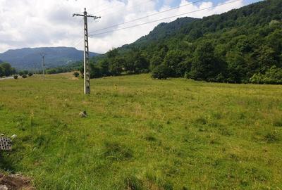 Oportunitate! -teren în zona  Pârâul Rece, Brașov - 2