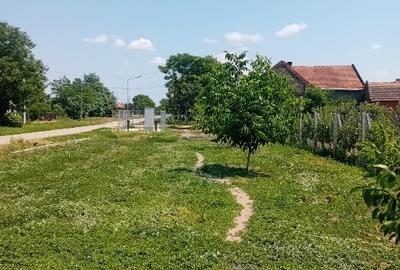 Teren intravilan de 16000 mp, în Belinț