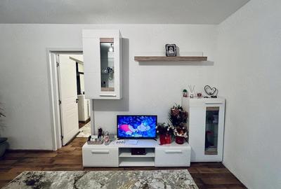 Apartament cu 2 camere semidecomandat în Banat - 2