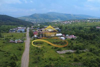 Teren pentru constructie hala indrustriala - Moinesti/Bacau - 3