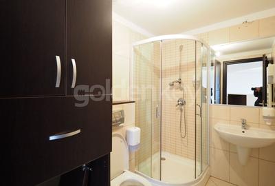 Apartament cu 3 camere decomandat, mobilat în Herăstrău - 9