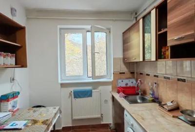 Apartament cu 2 camere semidecomandat în Săsar - 4