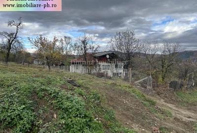 Teren de vanzare - Breaza - 8