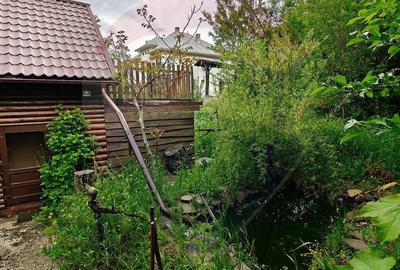 Casă cu 4 camere cu Teren 345 Mp în Bârsana - 14