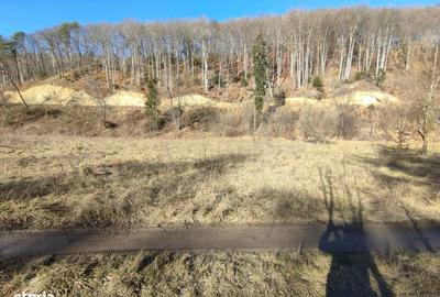 Spațiu comercial, în Timișu de Jos - 2