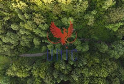 18000 mp de natura pura ,Lupeni, langa Straja - 21