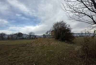 Teren de 2133 mp, în Exterior Vest - 5