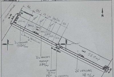 Teren de 8540 mp, în Dragomirești-Vale - 3