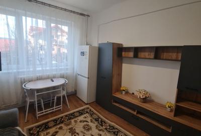 Garsonieră decomandată în Gruia - 7