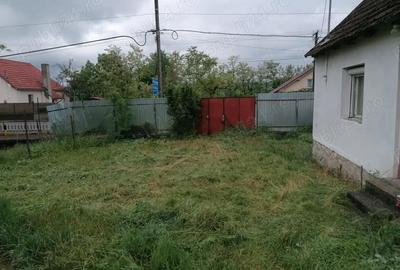 Casă cu 2 camere în Aleșd - 3