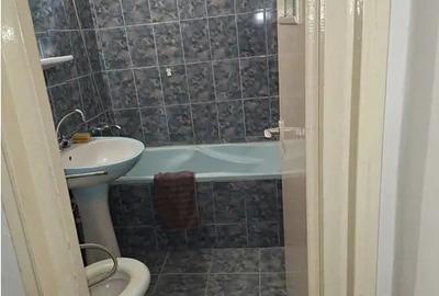 Inchiriez Ap 2 Camere Malul Timisului Decomandat - 7