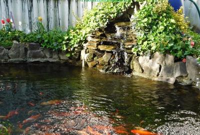 Spațiu comercial, de 200 mp, în Alfa - 10