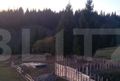 Teren de vanzare, 2400 mp, Dealul Floreni, Vatra Dornei - 7