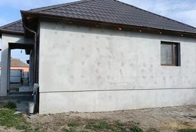 Casă cu 3 camere cu Teren 2800 Mp în Tarcea - 2