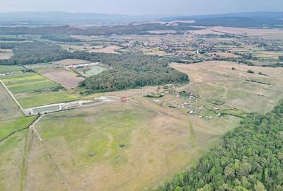 Teren Extravilan - 19