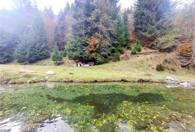 Teren intravilan panoramic 4.600mp,view iconic Piatra Craiul - 12