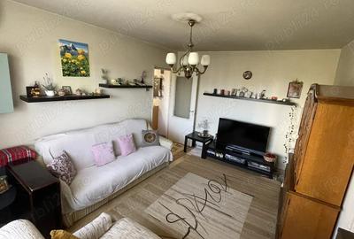 Vand apartament 2 camere Malu Ro?u - 4