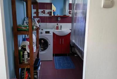 Casă cu 2 camere în Alioș - 1