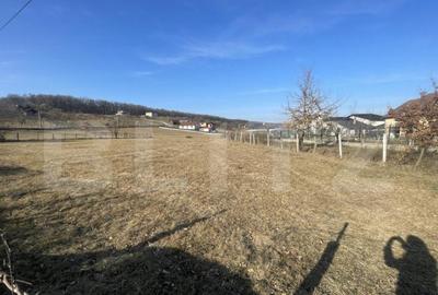 Teren intravilan de vanzare, 742 mp, zona Valea Rusului - 1