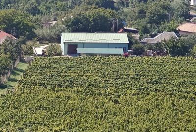 Spațiu comercial, în Cotnari