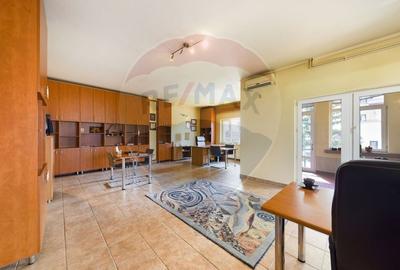 Casa / Vila cu 21 camere de vanzare in zona Alexandriei - 26